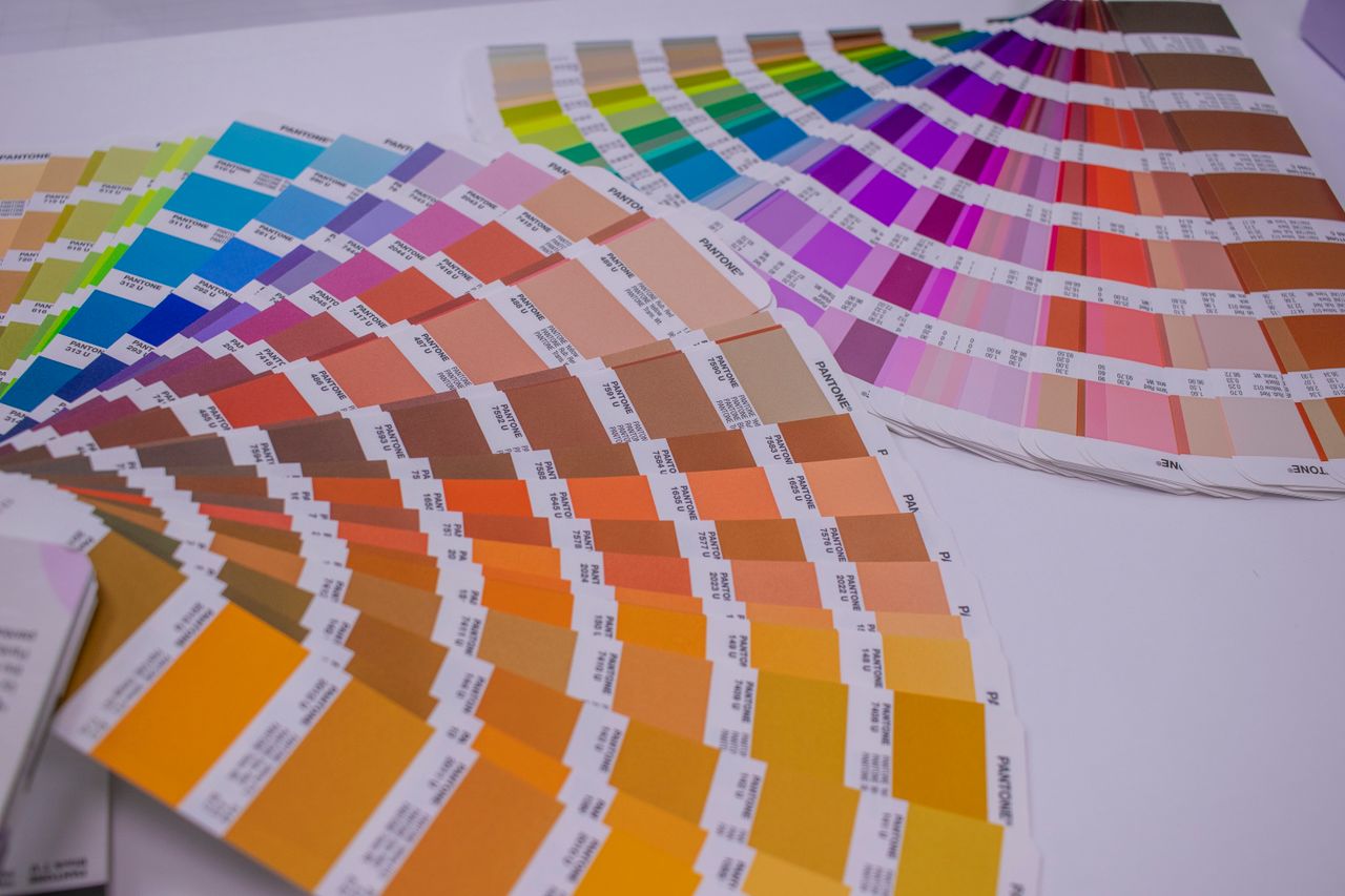 Colour swatches used to build a brand palette